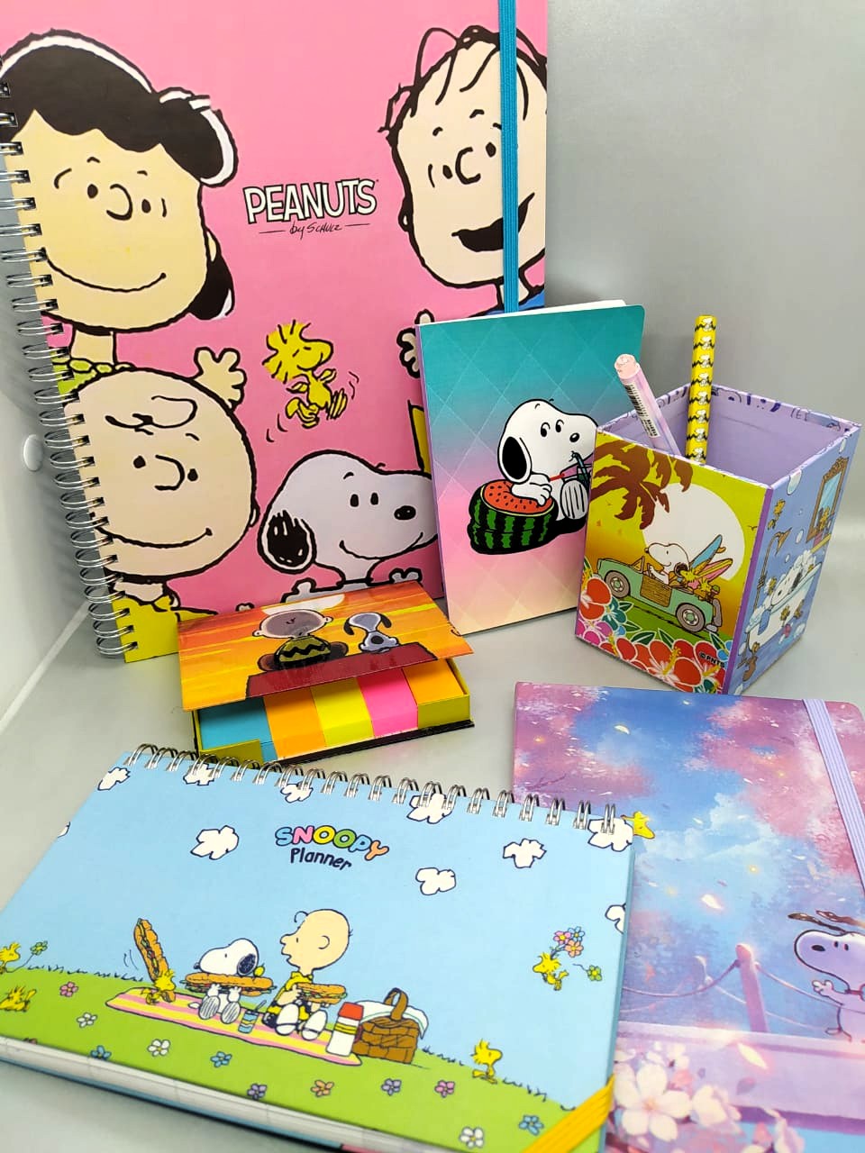 Box Snoopy