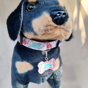 Collar y placa metal personalizada (perro)