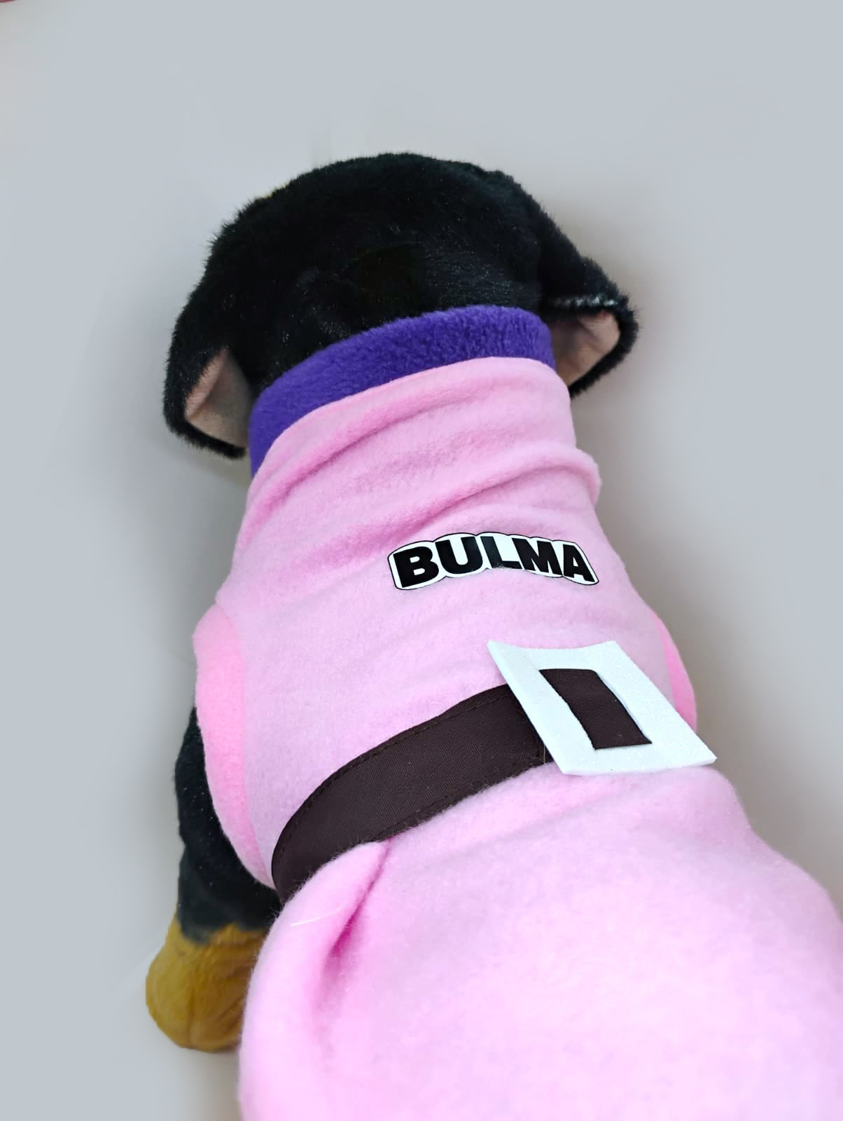 Bulma - Imagen 3